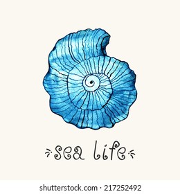 Blue watercolor shell. Sea life style. Vintage card.