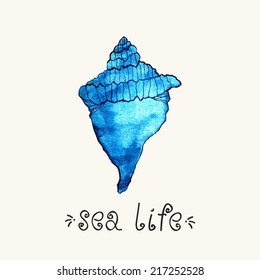 Blue watercolor shell. Sea life style. Vintage card.