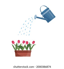 Tulip wird aus einer Wasserdose getränkt. Vektorblau-Tränke einzeln auf weißem Hintergrund. Gartenwerkzeuge.