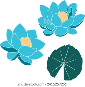 Blue Waterlily illustration art design