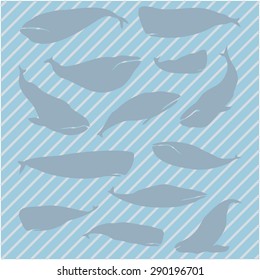 Blue whale