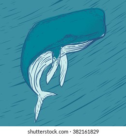 blue whale