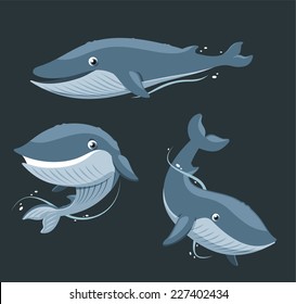 Blue Whale Aquatic Mammal set, vector illustration cartoon.