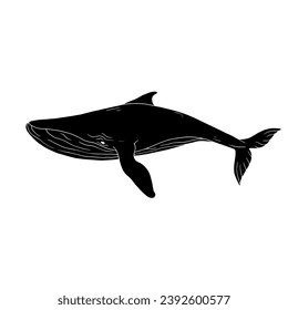 Blue whale aquatic mammal silhouette. Cartoon vector graphics.