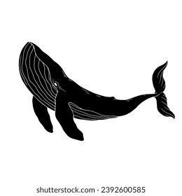 Blue whale aquatic mammal silhouette. Cartoon vector graphics.