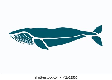 Blue whale. Balaenoptera musculus. Whale isolated on a light background. Logo for your design. Ink. Hand drawn.