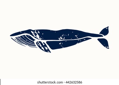 Blue whale. Balaenoptera musculus. Whale isolated on a light background. Logo for your design. Ink. Hand drawn.