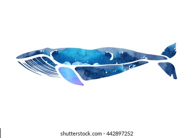 Blue whale. Balaenoptera musculus. Whale isolated on a light background. Logo for your design. Hand drawn.