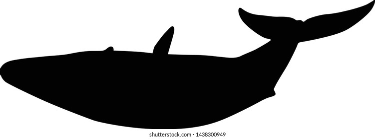 Blue Whale (Balsenoptera Musculus) Silhouette Swimming On The Oceans Worldwide
