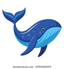 blue whale - the big sea elephant