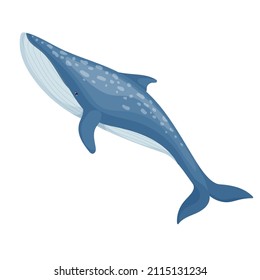 Blue whale, whale. Cartoon vector graphics.