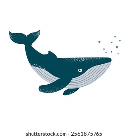 Blue whale a cute minimalistic illustration of a with textured details and bubbles on a white background