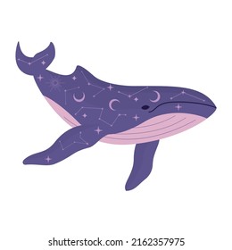 blue whale decorated by stars and constellations