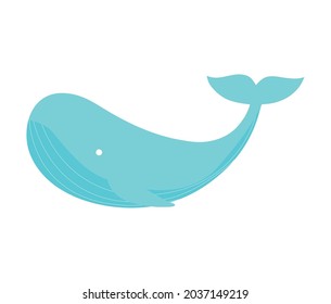 blue whale design over white