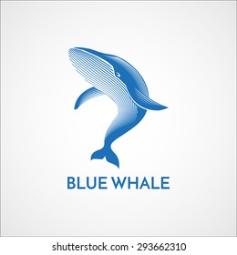 Blue whale detailed logo sign emblem isolated vector illustration 