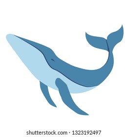 blue whale flat illustration. Underwater world creatures series