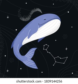 Ballenas azules volando en el cielo estrellado de la noche. Constelación de cetus.