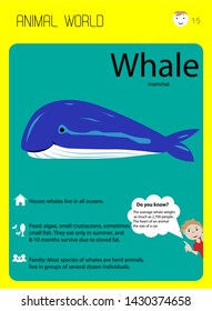 blue whale. Habitat, food, family. Developing flash cards for children, home schooling, kindergartens and centers