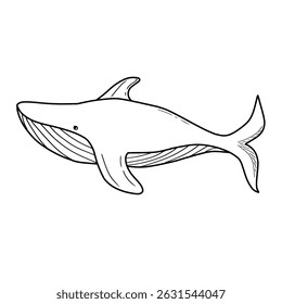 Blue whale, hand drawn vector illustration. Sketch style cartoon ocean whale