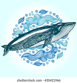 Blue whale, Hand drawn vector illustration. Drawn in ink.