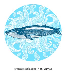 Blue whale, Hand drawn vector illustration. Drawn in ink.