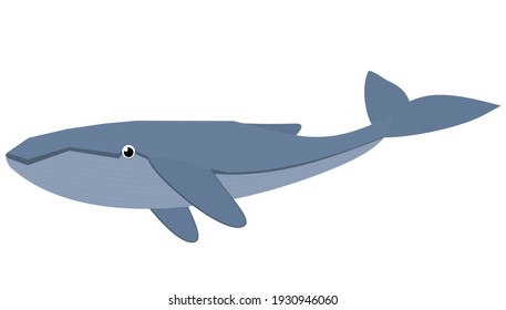 Blue Whale Humpback Deep Sea Animal Stock Vector (royalty Free 