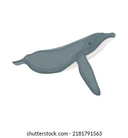 Blue Whale Icon On White Background