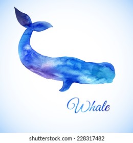 Blue Whale Illustration. Watercolor whale. Vector illustration of watercolor whale