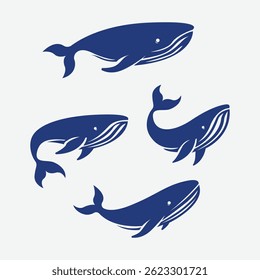 blue whale isolated asset vector