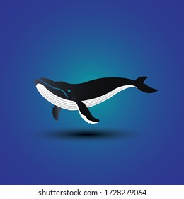 Blue whale isolated on blue background. vector illustration