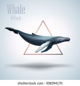 Blue whale isolated on white background with triangle as decorative element. Vector illustration