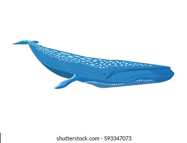The Blue Whale is the largest animal known to have existed. Editable Clip Art.