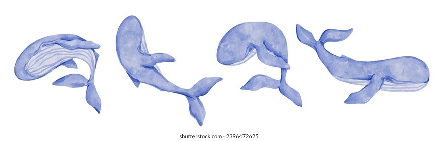 Blue whale marine mammal collection.Cartoon vector graphic.	