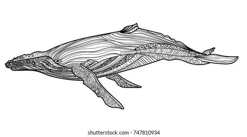 Blue whale. Meditative coloring of antistress. Arrows, strips, scales, lines. Logo, print on the shirt. Background for text
