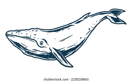 Blue whale monochrome detailed label cetacean swimming at great depths in worlds oceans with fish from wildlife vector illustration