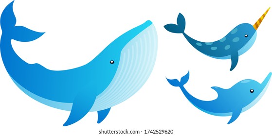 blue whale and narwhal and dolphin flat design concept