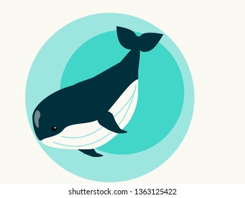 Blue whale in the ocean