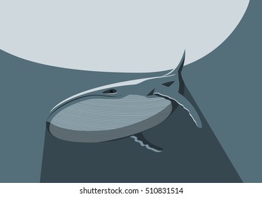 Blue whale in the ocean