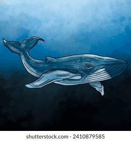 Blue whale in ocean vector illustration