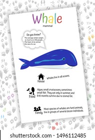 blue whale on white background. food, habitat, interesting facts. educational cards for children, preschoolers, kindergarten, home schooling. Learning English