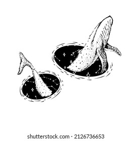 Blue whale and planets in solar system. Astronomical galaxy space. Explore adventure. Engraved hand drawn in old sketch. 