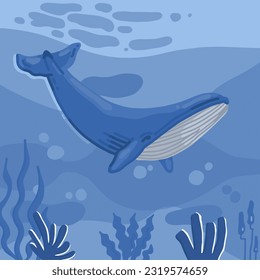 blue whale in the sea