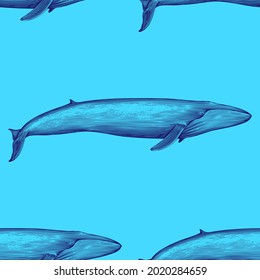 Blue whale in the sea or ocean, texture for design, seamless pattern, vector illustration