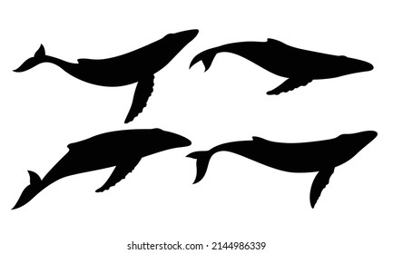 Blue whale set silhouette on white background.