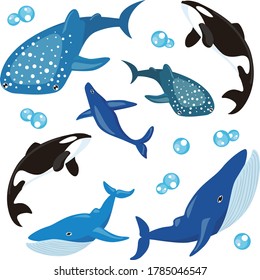 Tiburón de ballena azul y tiburón de ballena