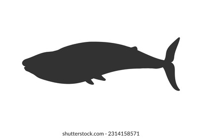 Blue whale silhouette, flat vector illustration isolated on white background. Marine mammal icon. Aquatic animal black silhouette for kids education or games. Sea and ocean wildlife.