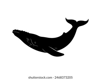 Silueta de ballena azul, Silueta de ballena, Conjunto de iconos de ballena azul, Clipart de ballena.