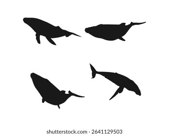 Blue whale silhouette, Whale silhouette, Blue whale icon set. Silhouettes of Majestic Whales in Various Poses. vector collection isolated on a white background.