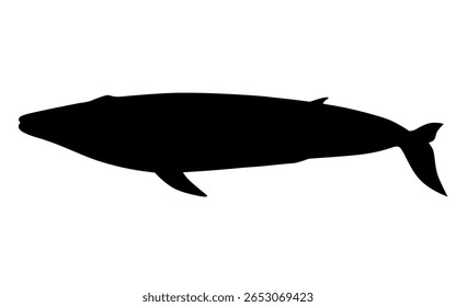 Blue whale silhouette Vector illustration