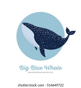 Blue Whale in specks in the blue circle illustration